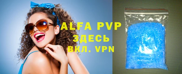 гидра Вязьма