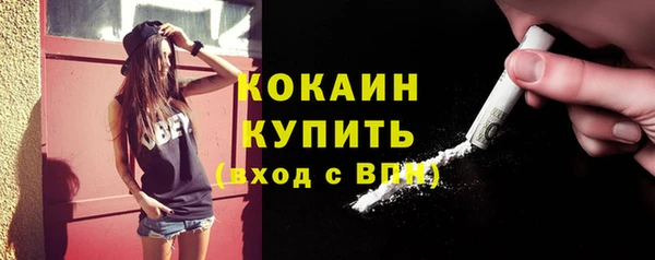 гидра Вязьма