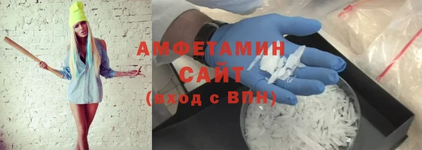 гидра Вязьма