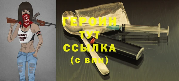 гидра Вязьма
