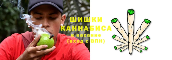 гидра Вязьма