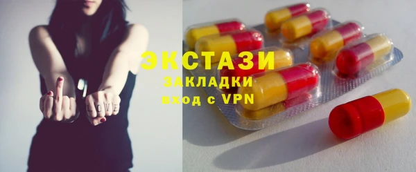 гидра Вязьма