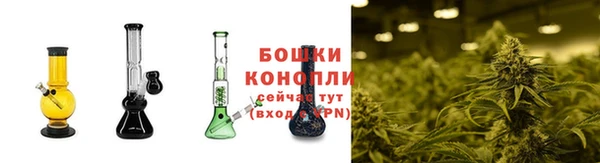 Альфа ПВП Вяземский