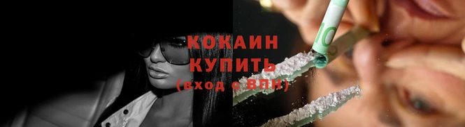 гидра Вязьма
