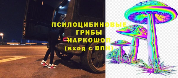 Альфа ПВП Вяземский