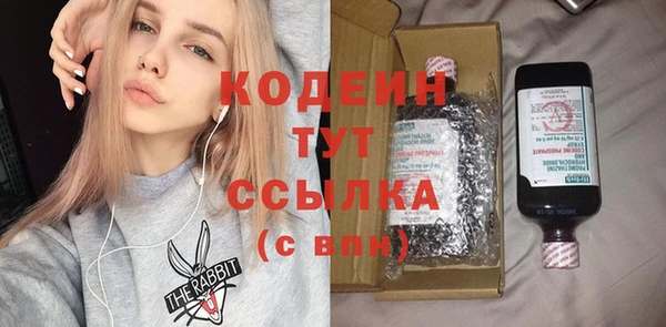 гидра Вязьма