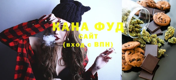 гидра Вязьма