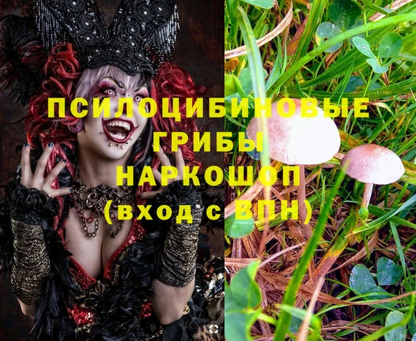 Альфа ПВП Вяземский