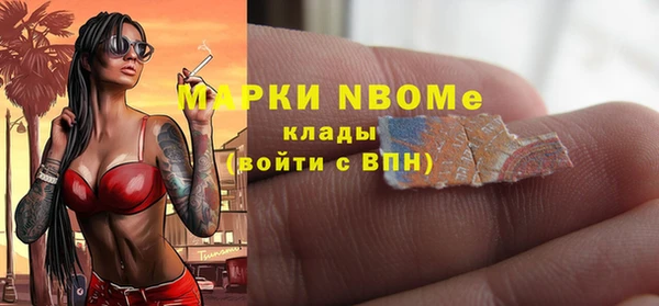 гидра Вязьма
