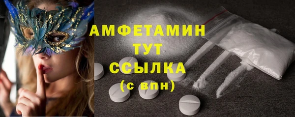 гидра Вязьма