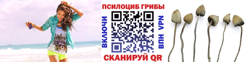 Псилоцибиновые грибы прущие грибы  Иваново 